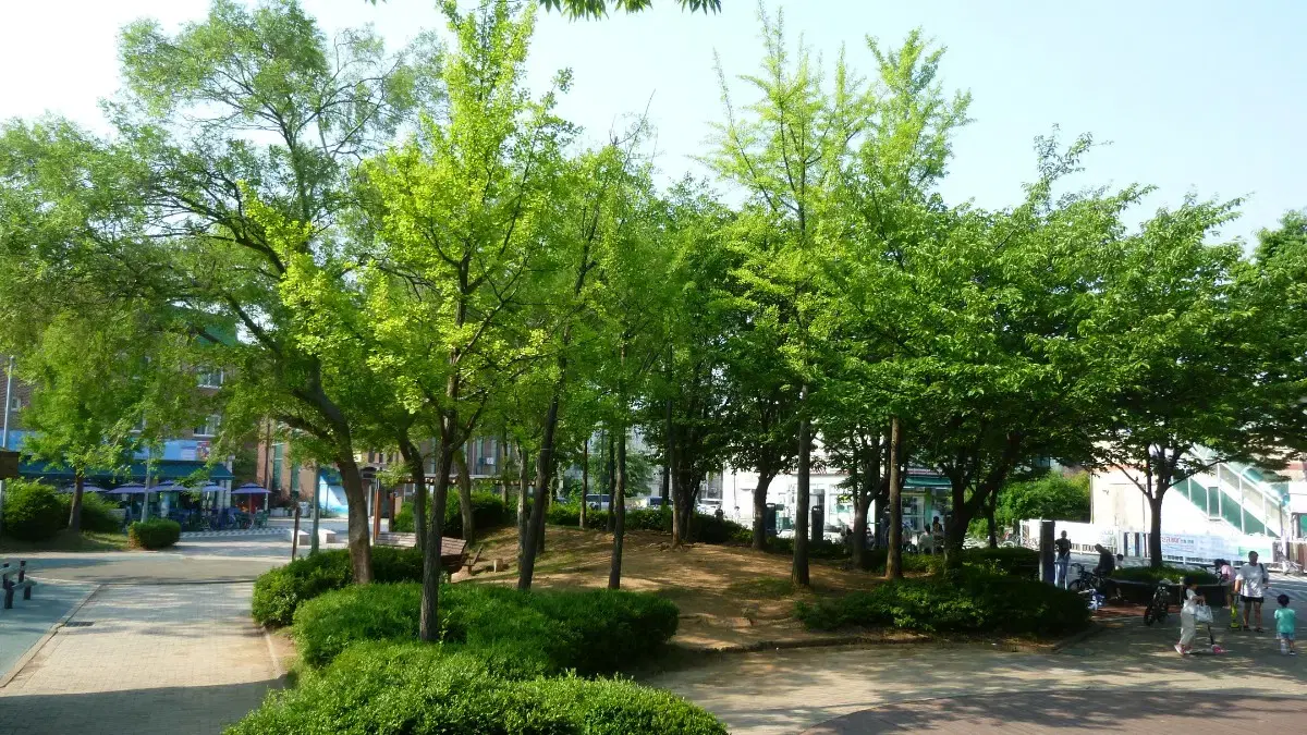 thumbnail-6